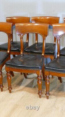 6 Charles X mahogany and leather bandeau chairs, early 19th century period