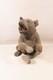 Antique Carved Wooden Bear Black Forest Sulfur Eyes Late 19th Century