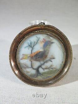 Ancien Cadre Miniature Peinte Oiseau A Feathers Veritables Epoque Debut XIX Eme