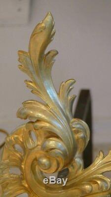 Andirons Pair Louis XV Rocaille Gilt Bronze, Xixth Era