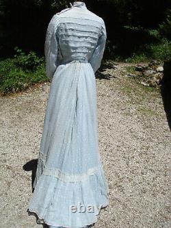 Antique Belle Epoque Dress In Antique Victorian Feathery Dress