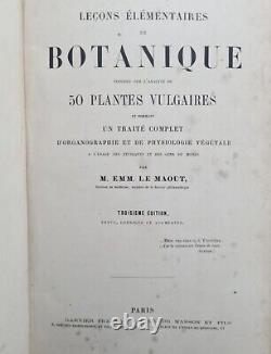 Antique Botanical Book by Emmanuel Le Maout 1838 Period Illustrations