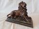 Beautiful Statue In Regule Of A Roaring Lion, Late 19th Century