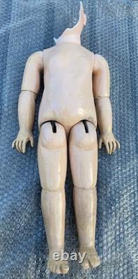 Beautiful body BB French STEINER model Fre A 17 19th century period
