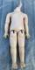 Beautiful Body Bb French Steiner Model Fre A 17 19th Century Period