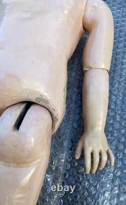 Beautiful body BB French STEINER model Fre A 17 19th century period