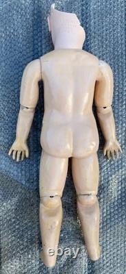 Beautiful body BB French STEINER model Fre A 17 19th century period