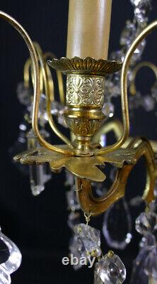 Bronze, Brass, and Crystal Pendant Chandelier, 19th Century