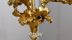 Bronze Chiseled Rose Chandelier, Late 19th Century, In the Style of Baguès