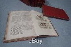 Clearance Lot Of 8 Complete Works Books From Buffon Epoque 1856