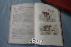 Clearance Lot Of 8 Complete Works Books From Buffon Epoque 1856