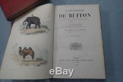 Clearance Lot Of 8 Complete Works Books From Buffon Epoque 1856