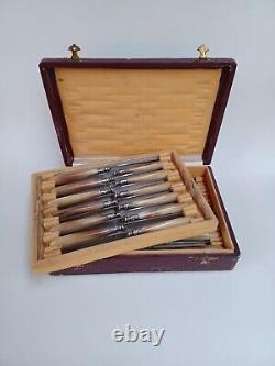 Coffret De 24 Couteaux Manche En Corne, Blade Steel, Epoque XIX Eme Century