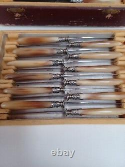 Coffret De 24 Couteaux Manche En Corne, Blade Steel, Epoque XIX Eme Century