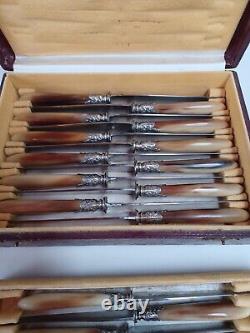 Coffret De 24 Couteaux Manche En Corne, Blade Steel, Epoque XIX Eme Century