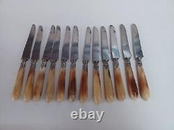 Coffret De 24 Couteaux Manche En Corne, Blade Steel, Epoque XIX Eme Century