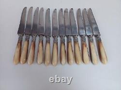 Coffret De 24 Couteaux Manche En Corne, Blade Steel, Epoque XIX Eme Century