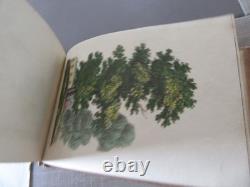 Collection of 1860 of 22 Period Colored Engravings The Young Draftsman