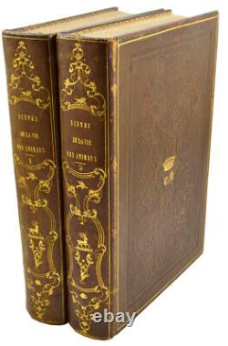 GRANDVILLE Scenes of the Private and Public Life of Animals 1842 Period Binding