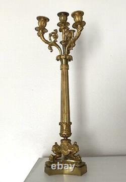 Grand Candelabra In Golden Bronze Era Restoration 19th Century 1820-1830