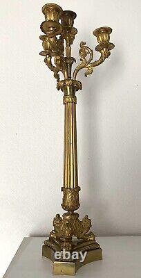 Grand Candelabra In Golden Bronze Era Restoration 19th Century 1820-1830