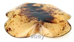 JAPAN 2 Lacquered Shell Plates Phoenix Bird Butterflies Meiji Period 19th Century