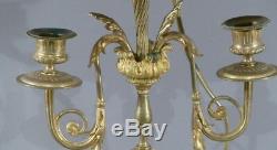 Large Lamp Louis XVI Style Gilt Bronze, Time XIX