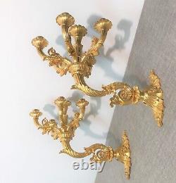 Large Pair Of Golden Bronze Appliqués Era Restoration XIX Th