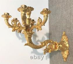 Large Pair Of Golden Bronze Appliqués Era Restoration XIX Th