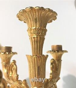 Large Pair Of Golden Bronze Appliqués Era Restoration XIX Th