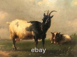 Oil Painting On Goat And Cow Panel Period 19th Century