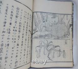 Old Japanese book, 19th century Meiji era, historical sketches of Persia