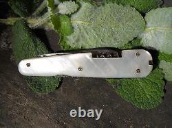 Old Mother-of-pearl Platelet Knife, Epoque Xixth Multifunction, Decorated Slice