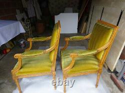 Pair Of Armchair In Velvet Style Louis XVI Wood Leakier Era 19th Century