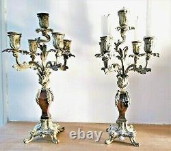 Pair Of Candelabras, Gilded Bronze Candlesticks, Louis XV Style, 19th Century