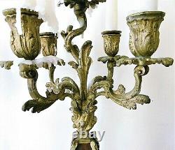 Pair Of Candelabras, Gilded Bronze Candlesticks, Louis XV Style, 19th Century