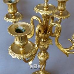 Pair Of Candlesticks Candelabra Louis XVI Gilt Bronze, Time XIX