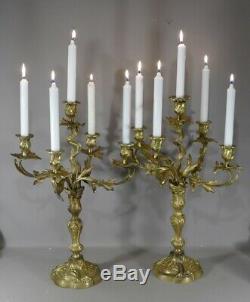 Pair Of Candlesticks Louis XV Gilt Bronze Rockery To5 Lights, Age XIX