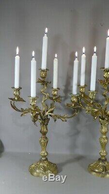 Pair Of Candlesticks Louis XV Gilt Bronze Rockery To5 Lights, Age XIX