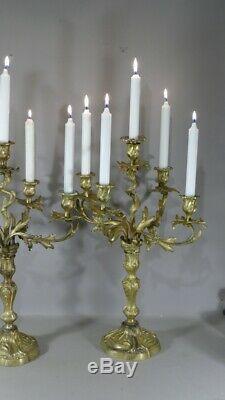 Pair Of Candlesticks Louis XV Gilt Bronze Rockery To5 Lights, Age XIX