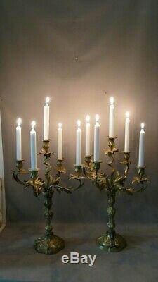 Pair Of Candlesticks Louis XV Gilt Bronze Rockery To5 Lights, Age XIX