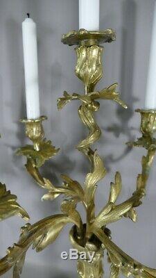 Pair Of Candlesticks Louis XV Gilt Bronze Rockery To5 Lights, Age XIX