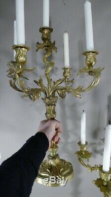 Pair Of Candlesticks Louis XV Gilt Bronze Rockery To5 Lights, Age XIX