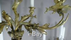 Pair Of Candlesticks Louis XV Gilt Bronze Rockery To5 Lights, Age XIX