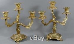 Pair Of Candlesticks Rockery Louis XV Gilt Bronze 3 Lights, Age XIX