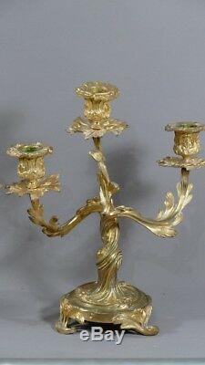 Pair Of Candlesticks Rockery Louis XV Gilt Bronze 3 Lights, Age XIX