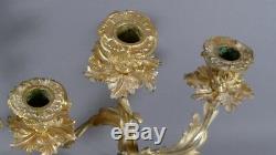 Pair Of Candlesticks Rockery Louis XV Gilt Bronze 3 Lights, Age XIX