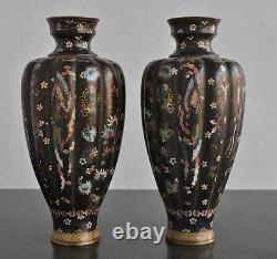 Pair Of Chinese Vase Cloisoned Era Xixth