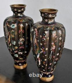 Pair Of Chinese Vase Cloisoned Era Xixth