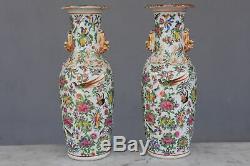 Pair Of Chinese Vase In Canton With Birds Nineteenth Time